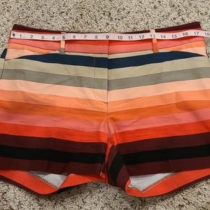 Multi Colored Striped Shorts